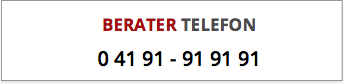 BERATER TELEFON 0 41 91 - 91 91 91